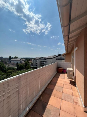 Le Venasque avec terrasse - climatisation